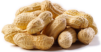 | Peanuts